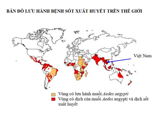 ban do luu hanh benh sot suat huyet